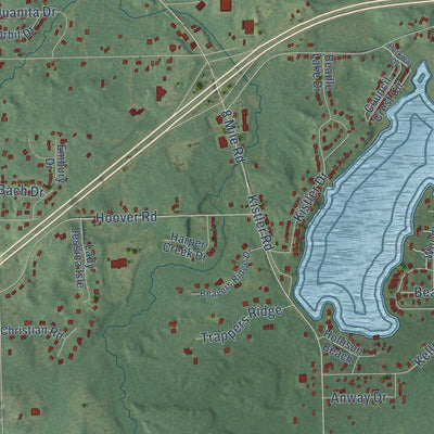 Close-up of the map of Beadle Lake, Michigan print showing street and building detail
