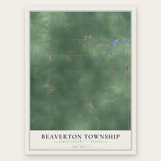 Beaverton Township, Michigan map print, the full design
