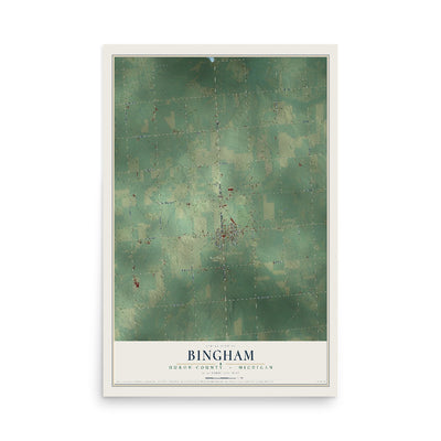 Map of Bingham, Huron County, Michigan, 12 x 18 inch unframed archival matte print