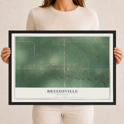 Map of Breedsville, Michigan, 12 x 18 inch print in a black wood frame