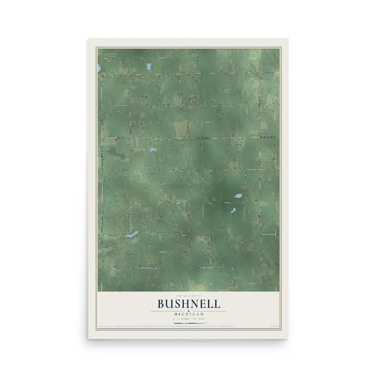 Map of Bushnell, Michigan, 12 x 18 inch unframed archival matte print