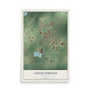 Map of Cedar Springs, Michigan, 12 x 18 inch unframed archival matte print