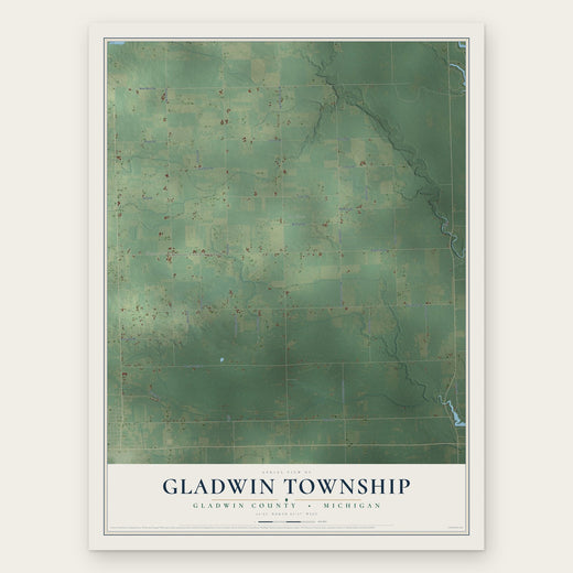 Gladwin Township, Michigan map print, the full design