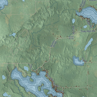 Close-up of the map of Hale, Michigan print showing street and building detail