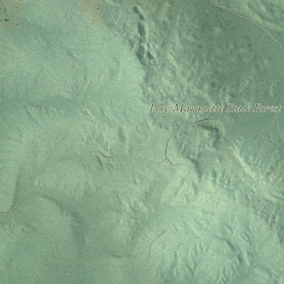 Close-up of the map of Holland Township, Missaukee County, Michigan print showing street and building detail