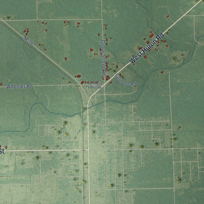 Close-up of the map of Lincoln Township, Arenac County, Michigan print showing street and building detail