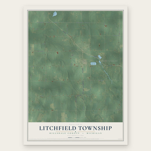 Litchfield Township, Michigan map print, the full design