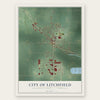 Litchfield, Michigan map print, the full design