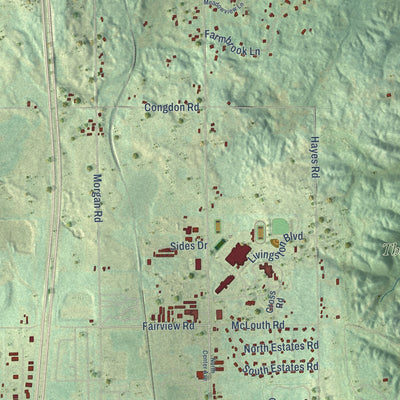 Close-up of the map of Livingston, Michigan print showing street and building detail