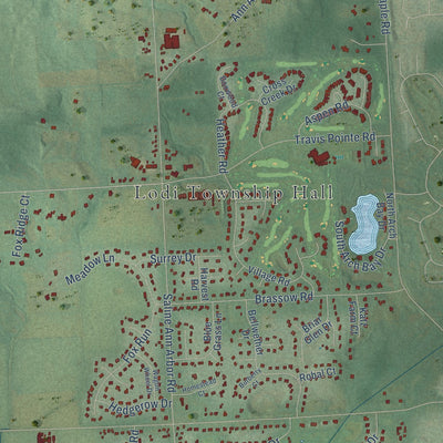 Close-up of the map of Lodi, Michigan print showing street and building detail