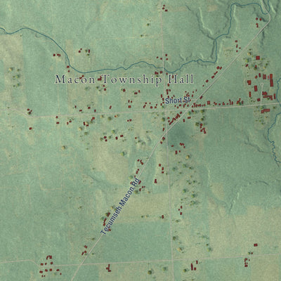 Close-up of the map of Macon, Michigan print showing street and building detail
