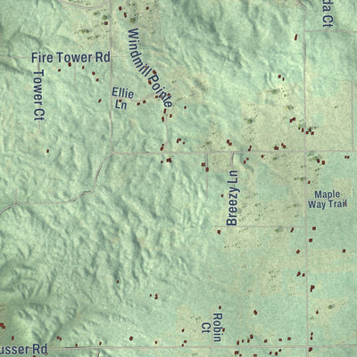 Close-up of the map of Mancelona, Antrim County, Michigan print showing street and building detail