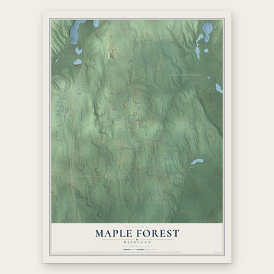 Maple Forest, Michigan map print, the full design
