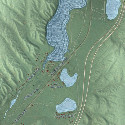 Close-up of the map of Maple Forest, Michigan print showing street and building detail