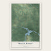 Maple Ridge, Alpena County, Michigan map print, the full design