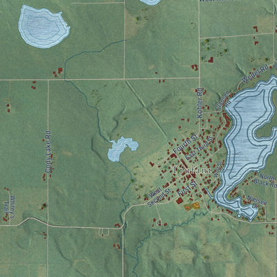 Close-up of the map of Maple Valley, Montcalm County, Michigan print showing street and building detail