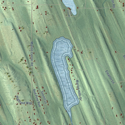 Close-up of the map of Marion, Charlevoix County, Michigan print showing street and building detail