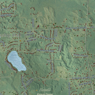 Close-up of the map of Marion, Livingston County, Michigan print showing street and building detail