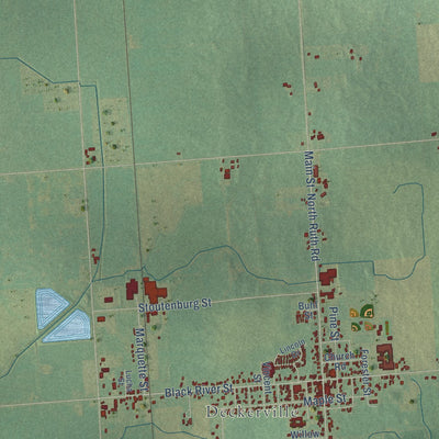 Close-up of the map of Marion, Sanilac County, Michigan print showing street and building detail