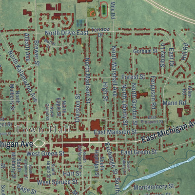 Close-up of the map of Marshall, Michigan print showing street and building detail