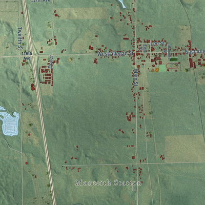 Close-up of the map of Martin, Allegan County, Michigan print showing street and building detail