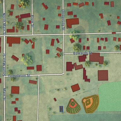 Close-up of the map of Martin, Michigan print showing street and building detail
