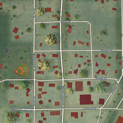 Close-up of the map of McBride, Michigan print showing street and building detail