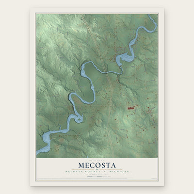Mecosta, Mecosta County, Michigan map print, the full design