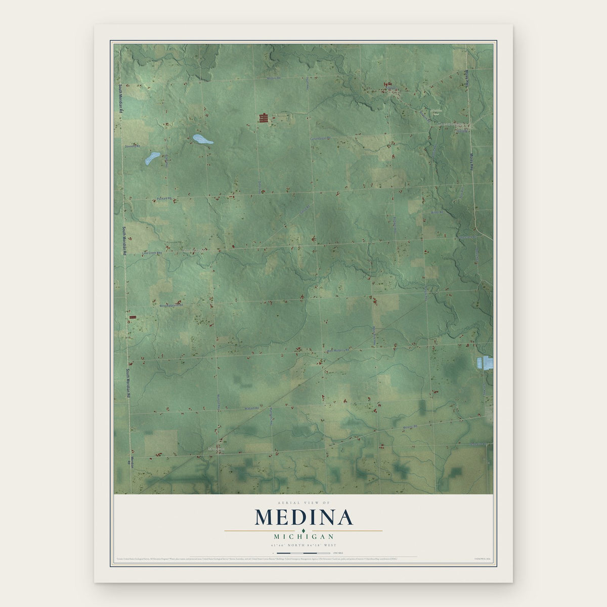 Medina, Michigan map print, the full design