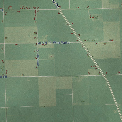 Close-up of the map of Merritt, Michigan print showing street and building detail
