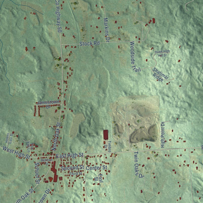 Close-up of the map of Metamora, Lapeer County, Michigan print showing street and building detail