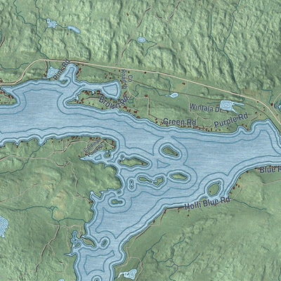 Close-up of the map of Michigamme, Michigan print showing street and building detail