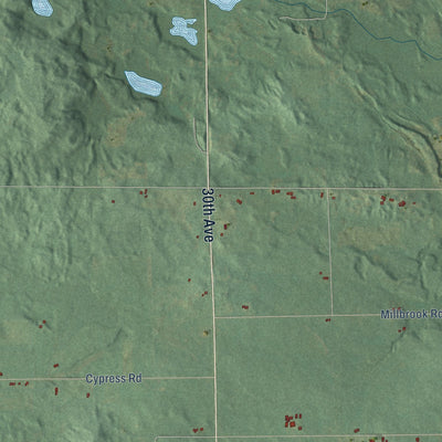 Close-up of the map of Millbrook, Michigan print showing street and building detail