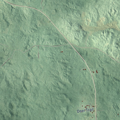 Close-up of the map of Millen, Michigan print showing street and building detail