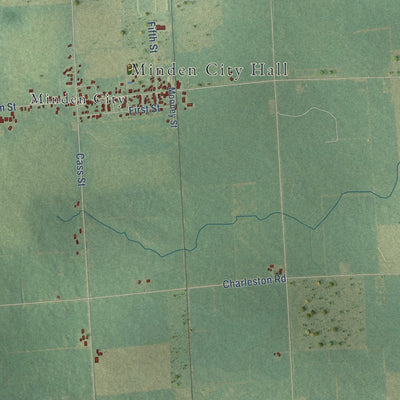 Close-up of the map of Minden, Michigan print showing street and building detail