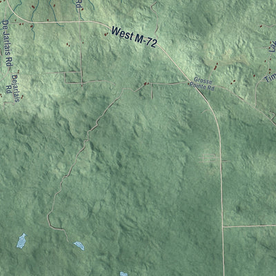 Close-up of the map of Mitchell, Michigan print showing street and building detail