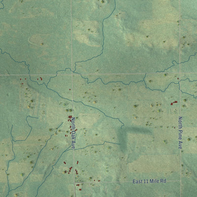 Close-up of the map of Monroe, Newaygo County, Michigan print showing street and building detail