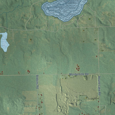 Close-up of the map of Moscow, Michigan print showing street and building detail