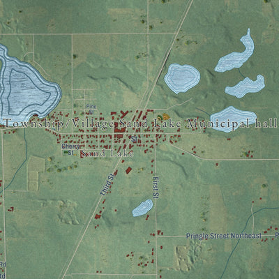 Close-up of the map of Nelson, Michigan print showing street and building detail