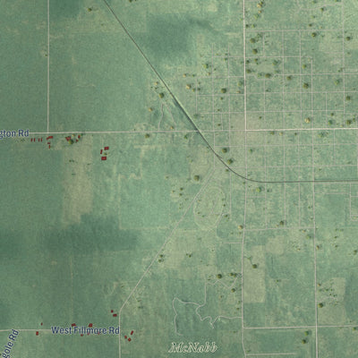 Close-up of the map of Newark, Michigan print showing street and building detail