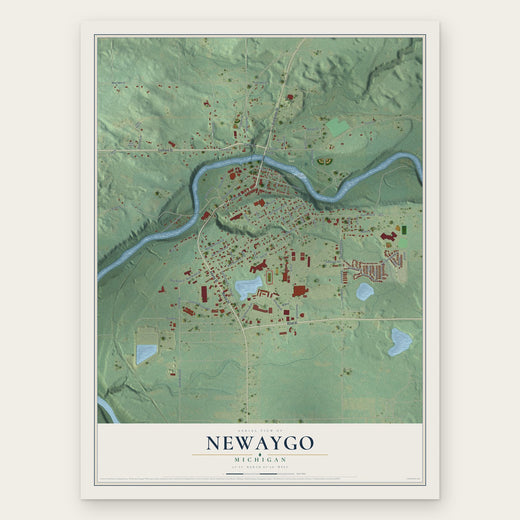 Newaygo, Michigan map print, the full design