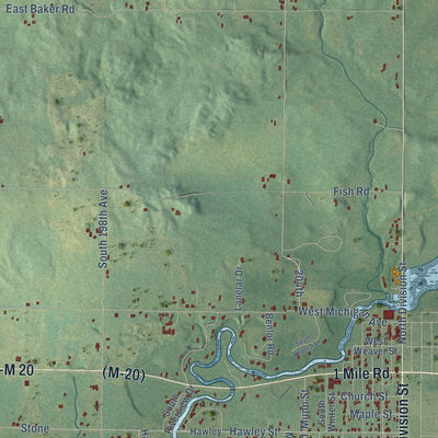Close-up of the map of Newfield, Michigan print showing street and building detail