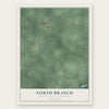 North Branch, Lapeer County, Michigan map print, the full design