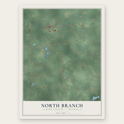 North Branch, Lapeer County, Michigan map print, the full design