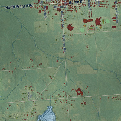 Close-up of the map of North Branch, Lapeer County, Michigan print showing street and building detail