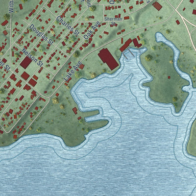 Close-up of the map of North Muskegon, Michigan print showing street and building detail