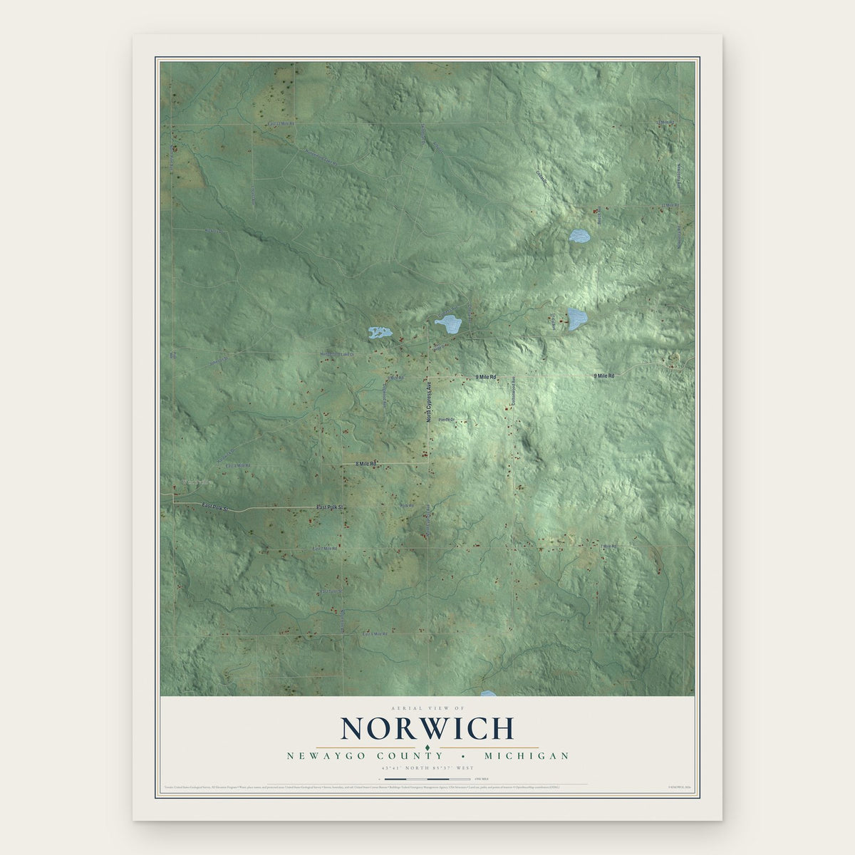 Norwich, Newaygo County, Michigan map print, the full design