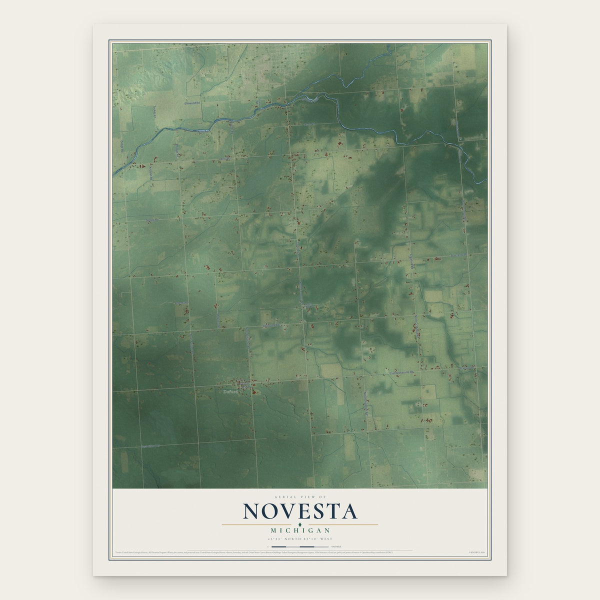 Novesta, Michigan map print, the full design