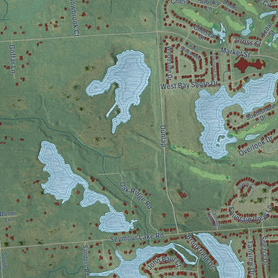Close-up of the map of Oakwood, Michigan print showing street and building detail