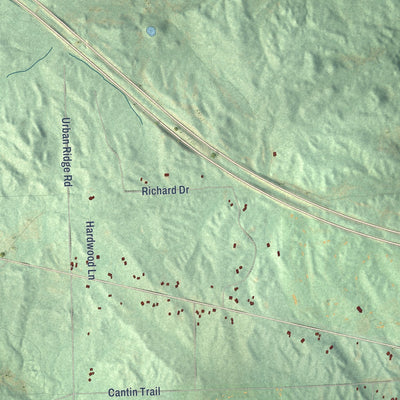 Close-up of the map of Ogemaw, Michigan print showing street and building detail